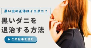 黒い小さな虫の正体はダニかも？見分け方や対処・再発防止方法まで徹底解説
