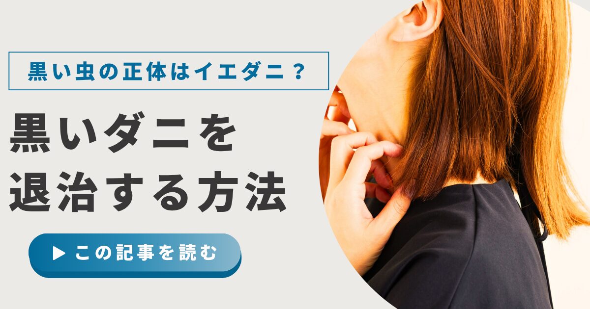 黒い小さな虫の正体はダニかも？見分け方や対処・再発防止方法まで徹底解説