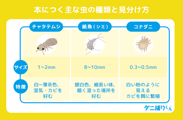 本につく主な虫の種類と見分け方