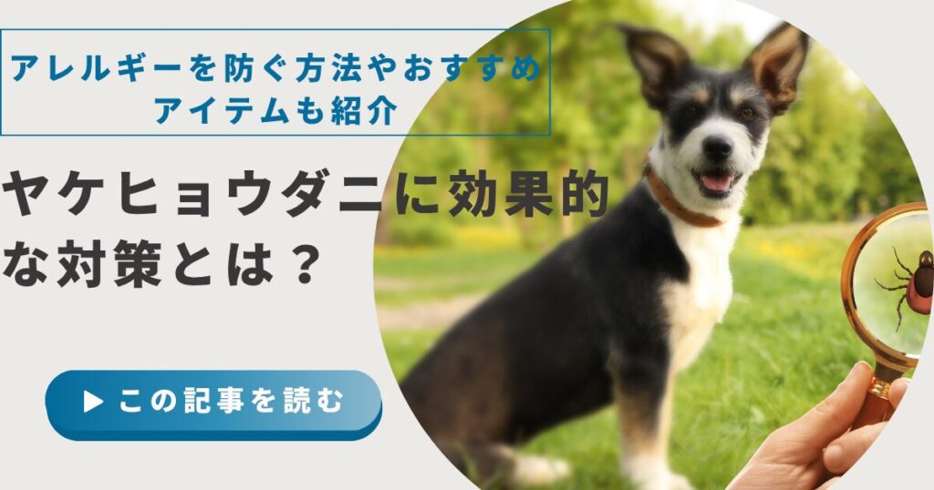 ヤケヒョウダニに効果的な対策とは？アレルギーを防ぐ方法やおすすめアイテムも紹介