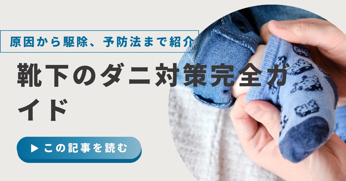 靴下のダニ対策完全ガイド:原因から駆除、予防法まで紹介
