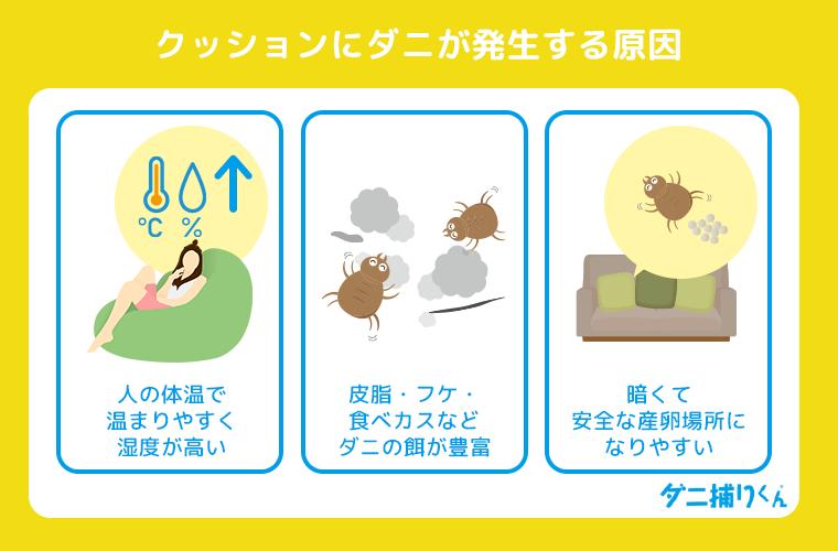 クッションにダニが発生する原因