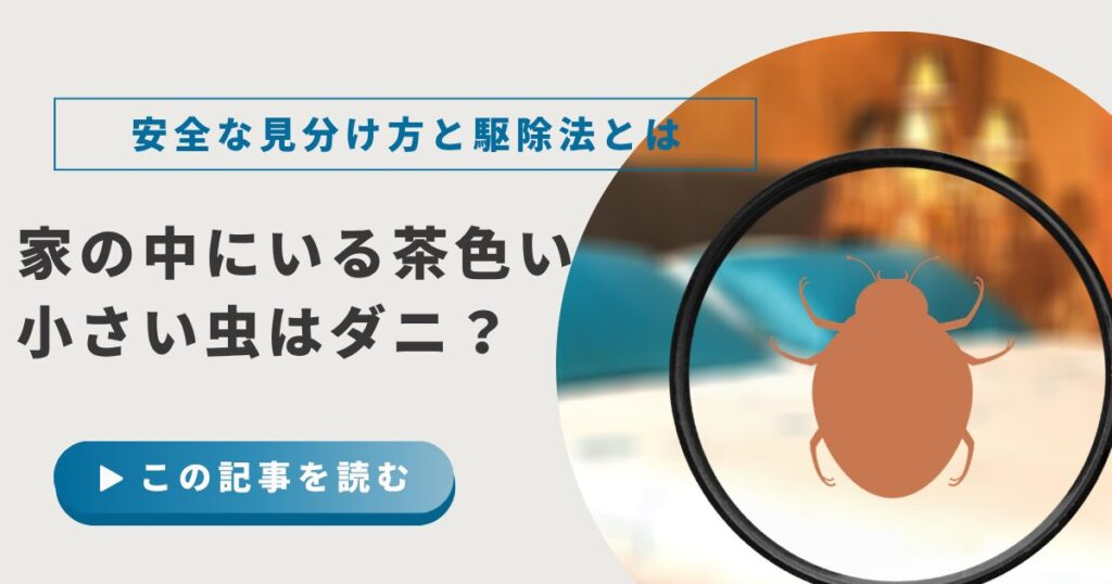 茶色い小さい虫の正体はダニ?チャタテムシとの見分け方と安全な駆除・対策法を解説