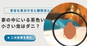 茶色い小さい虫の正体はダニ？チャタテムシとの見分け方と安全な駆除・対策法を解説