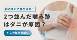 2つ並んだ噛み跡はダニが原因？他の虫との見分け方や根本的な対処法を解説