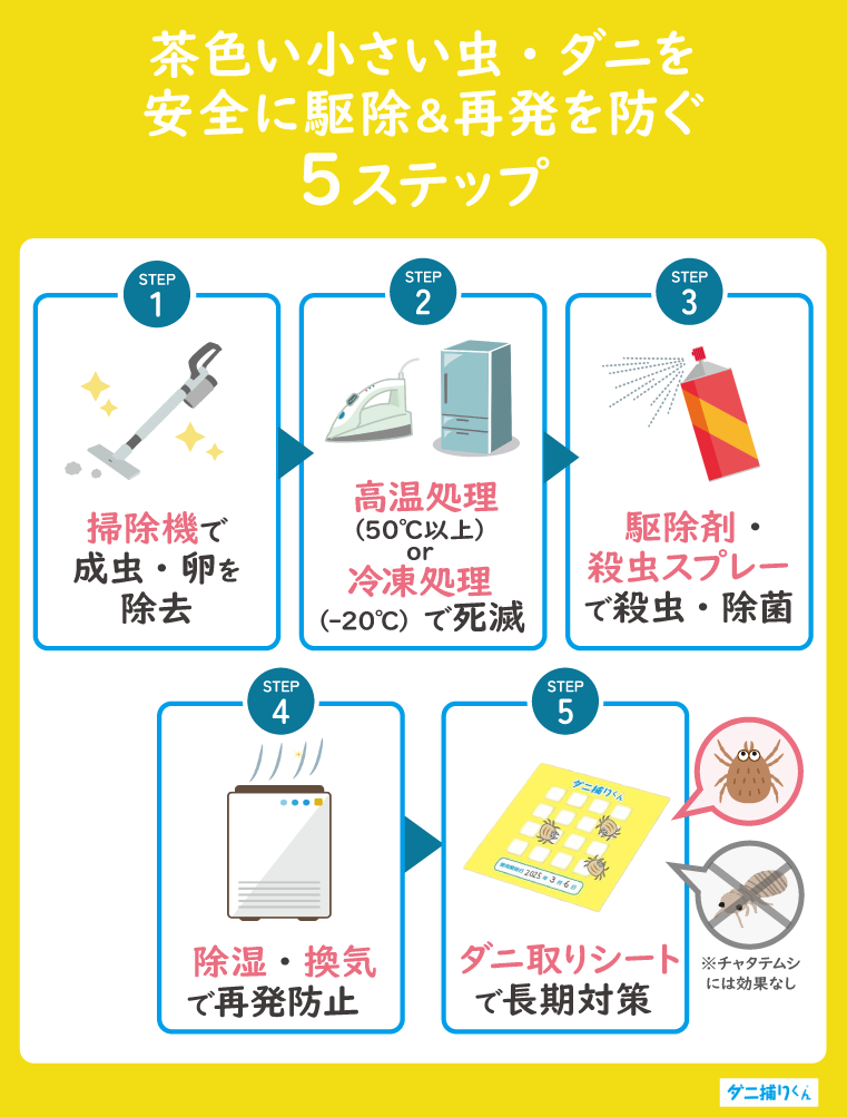 茶色い小さい虫やダニを安全に駆除する5つの方法