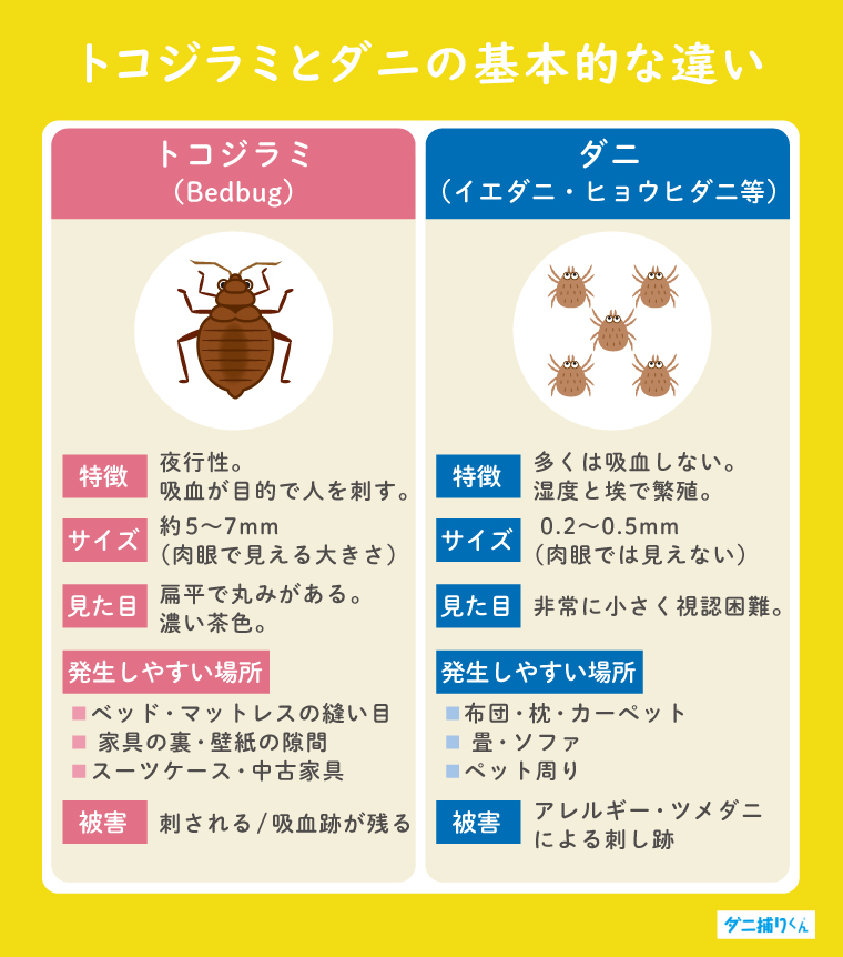 トコジラミとダニの違い