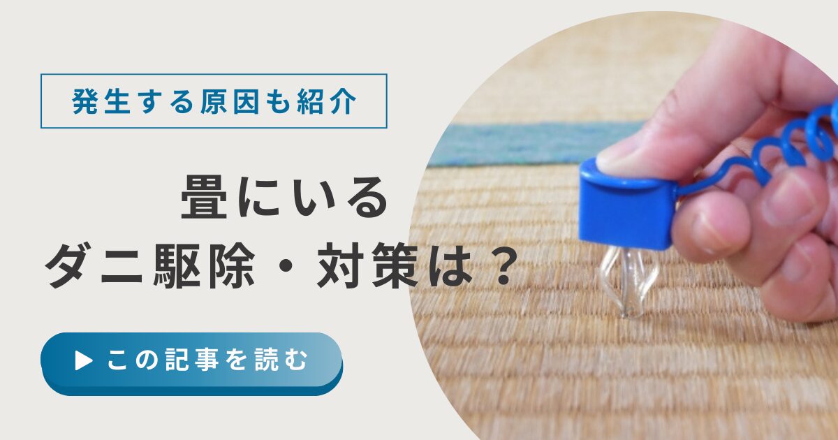 畳にいるダニ駆除・対策におすすめな方法を解説！発生する原因や環境についても紹介
