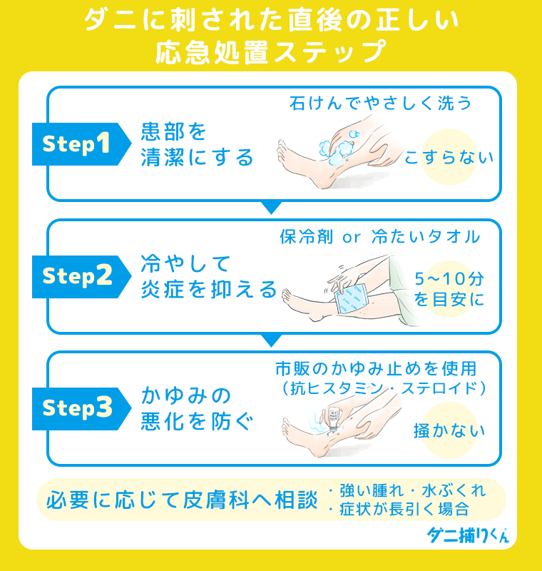 ダニに刺された後の正しい対処法
