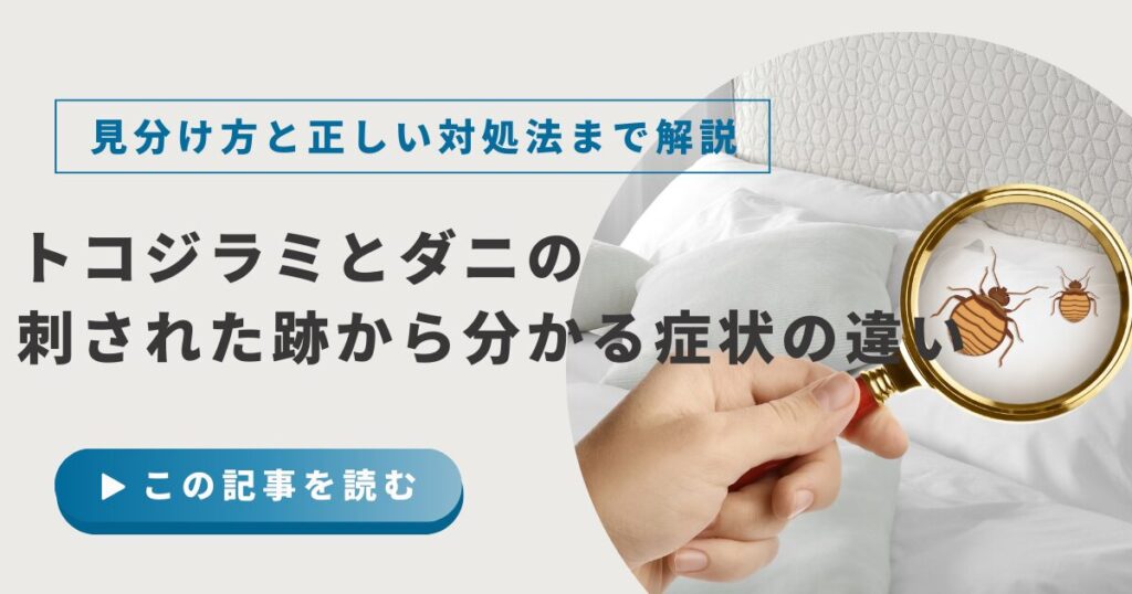 トコジラミとダニの症状の違いは?刺された跡の特徴から分かる見分け方と正しい対処法