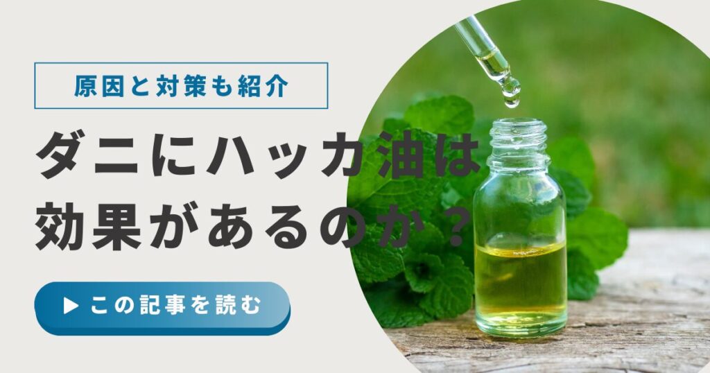 布団にハッカ油スプレーを吹きかけるイメージ画像 ダニ対策と寝具ケアの違いを解説