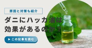 布団にハッカ油スプレーを吹きかけるイメージ画像 ダニ対策と寝具ケアの違いを解説