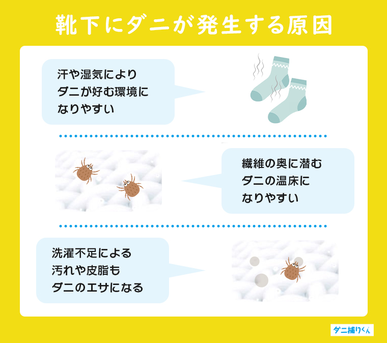 靴下にダニが発生する原因