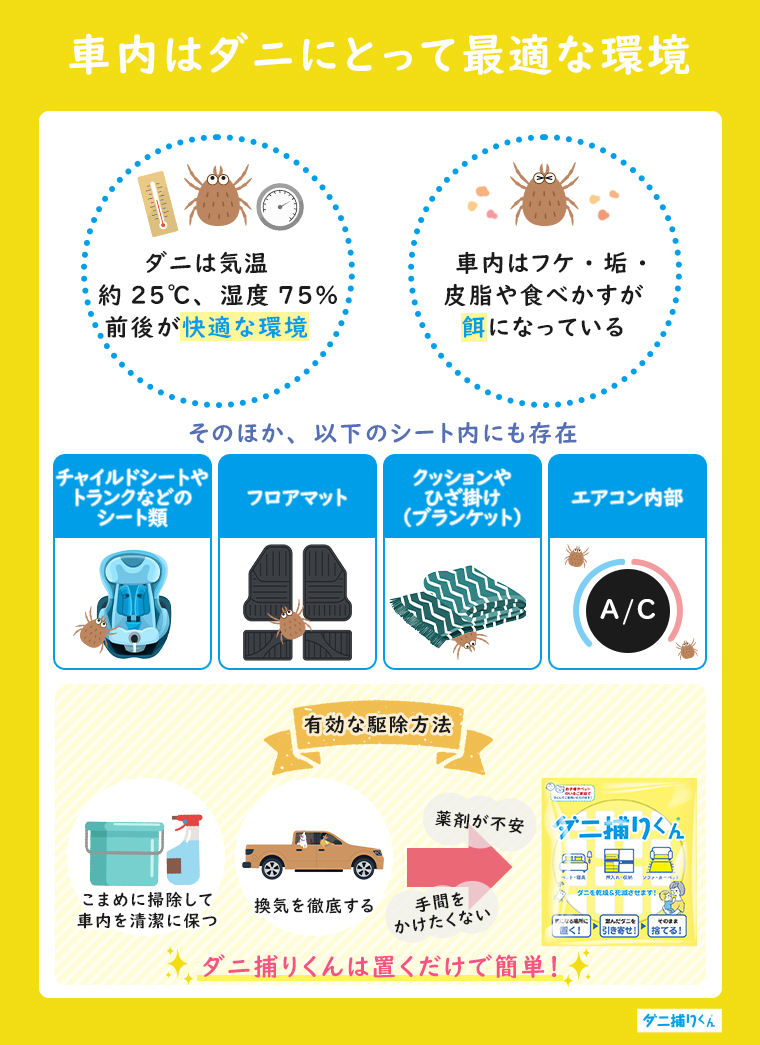 車内はダニにとって最適な環境｜特に夏場は要注意