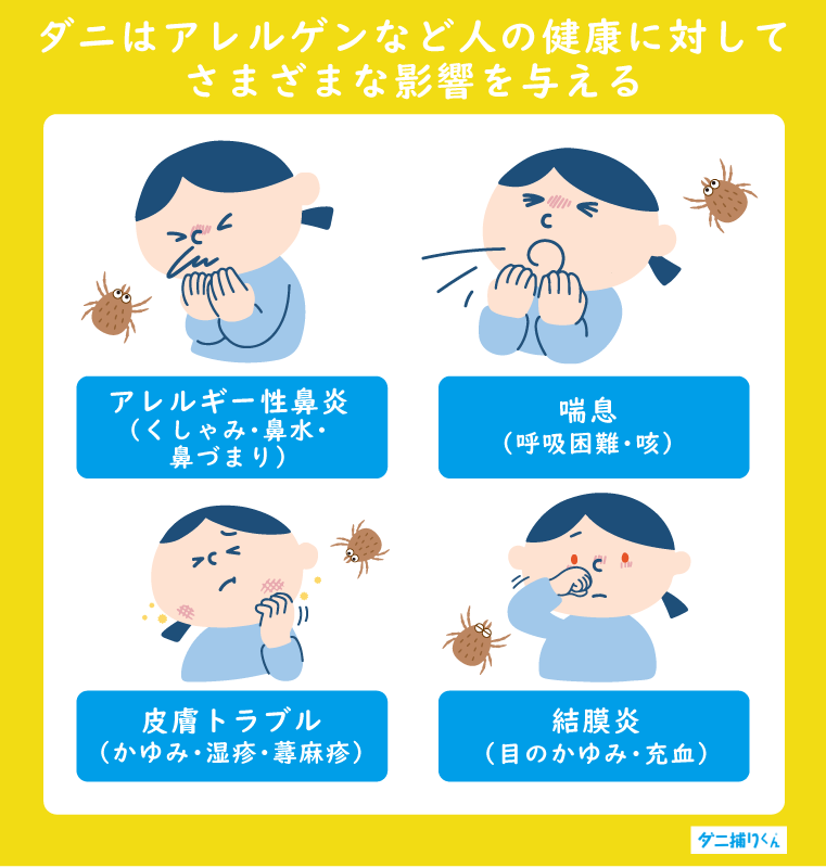 ダニはアレルゲンなど人の健康に対してさまざまな影響を与える