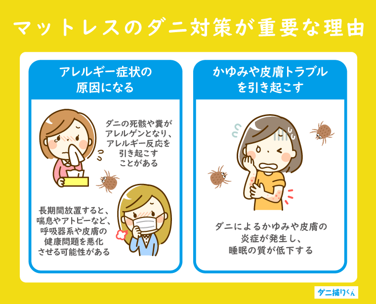マットレスのダニ対策が重要な理由｜アレルギーやかゆみの原因になることも