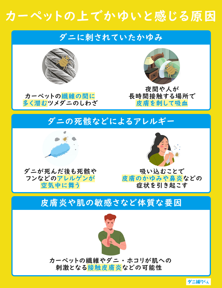 カーペットの上でかゆいと感じる原因