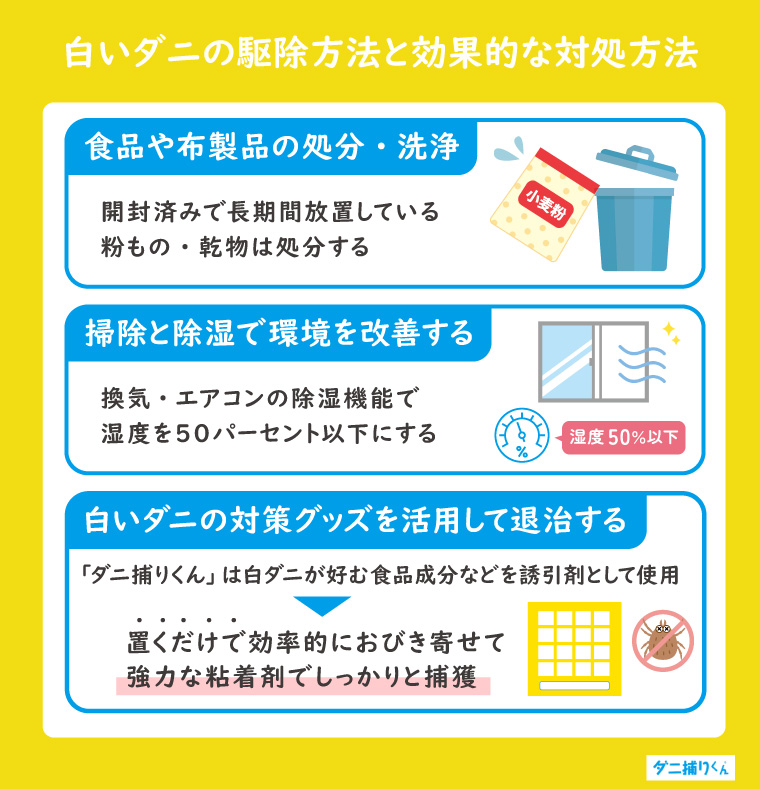 今すぐできる白いダニの駆除方法と効果的な対処方法