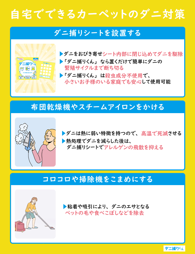 自宅でできるカーペットのダニ対策