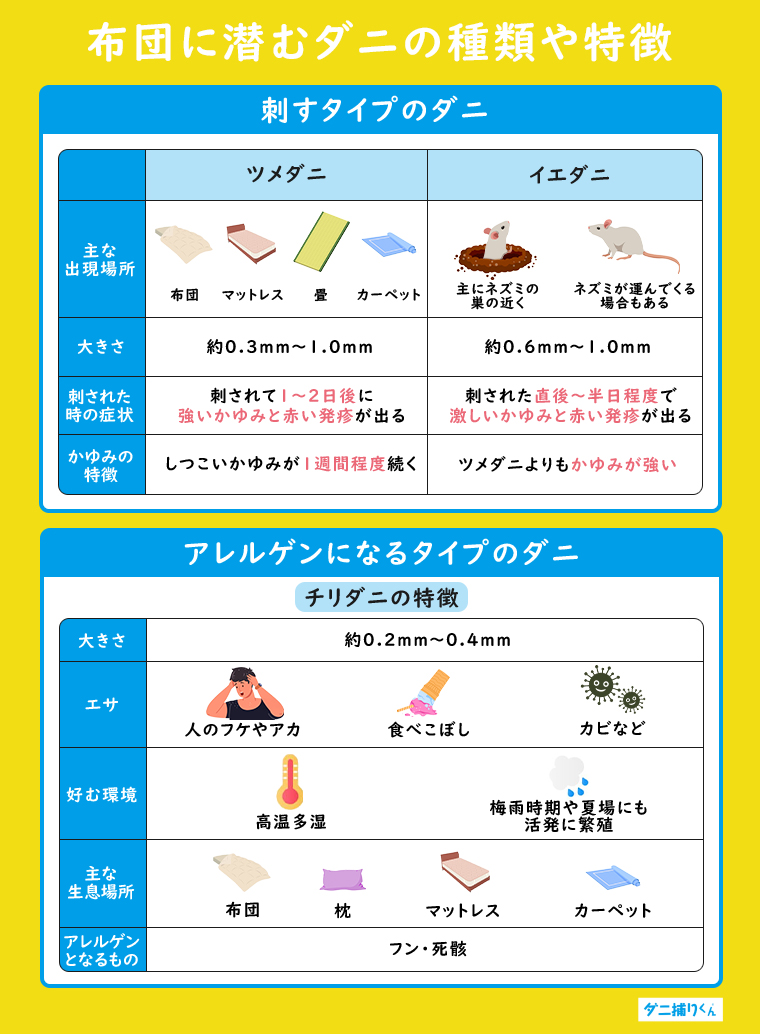 布団に潜むダニの種類や特徴