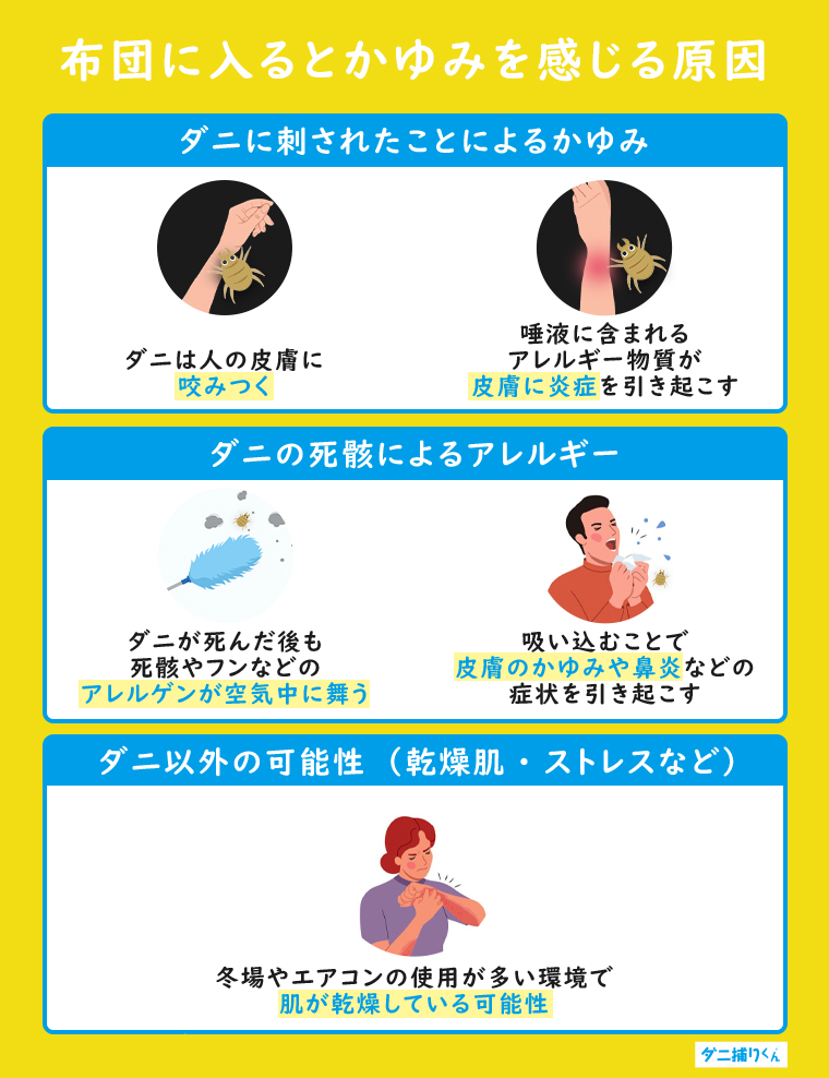 布団に入るとかゆいと感じる原因