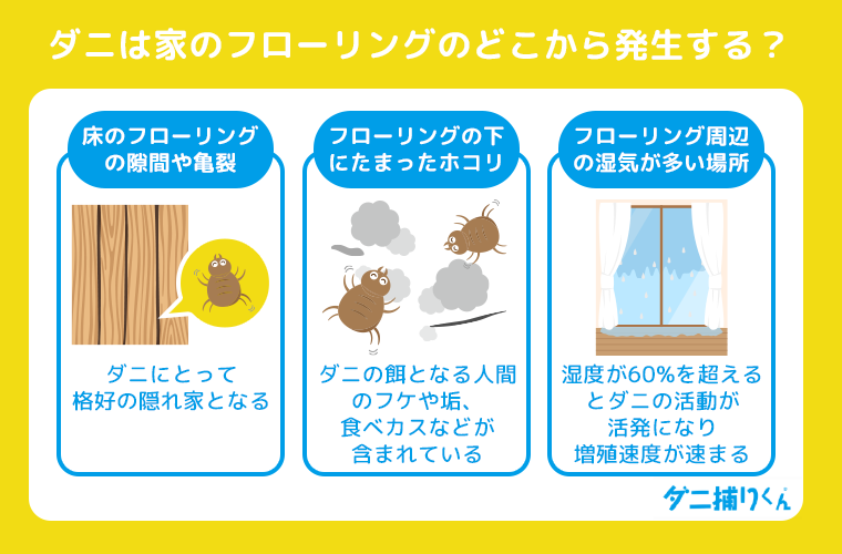 ダニは家のフローリングのどこから発生する？
