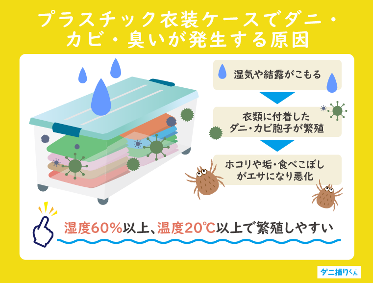 プラスチック製衣装ケースでダニ・カビ・臭いが発生する原因