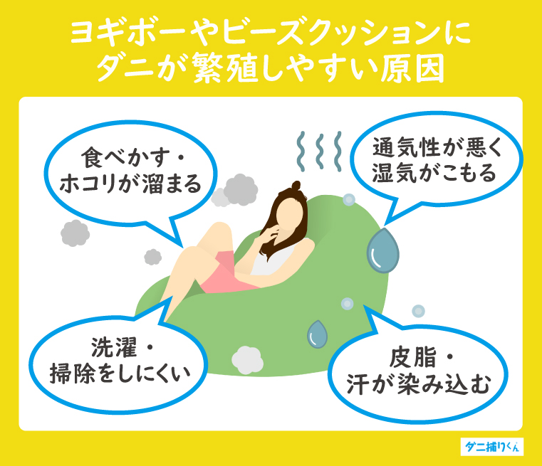 ヨギボーやビーズクッションにダニが繁殖する原因