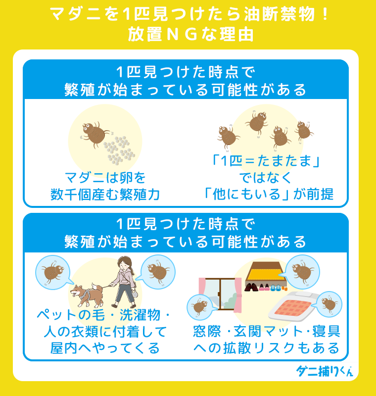 マダニを1匹見つけたら油断禁物！放置ＮＧな理由