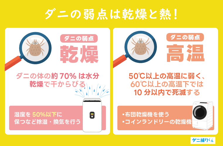 【結論】ダニの弱点は乾燥・高温！「除湿」「換気」「高温乾燥」を意識しよう