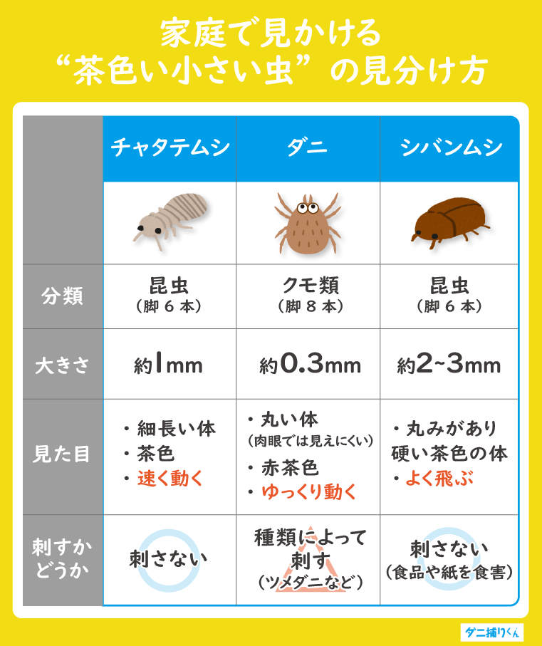 家庭で見かける茶色い小さい虫の見分け方