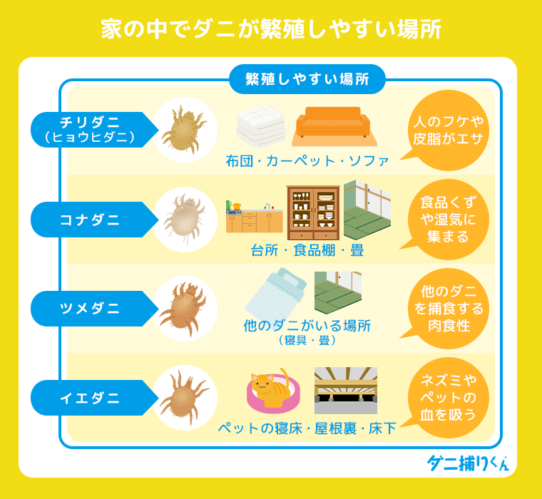家の中でダニが発生しやすい場所
