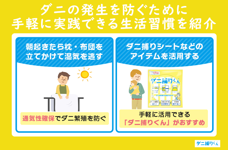 ダニの発生を防ぐために手軽に実践できる生活習慣を紹介