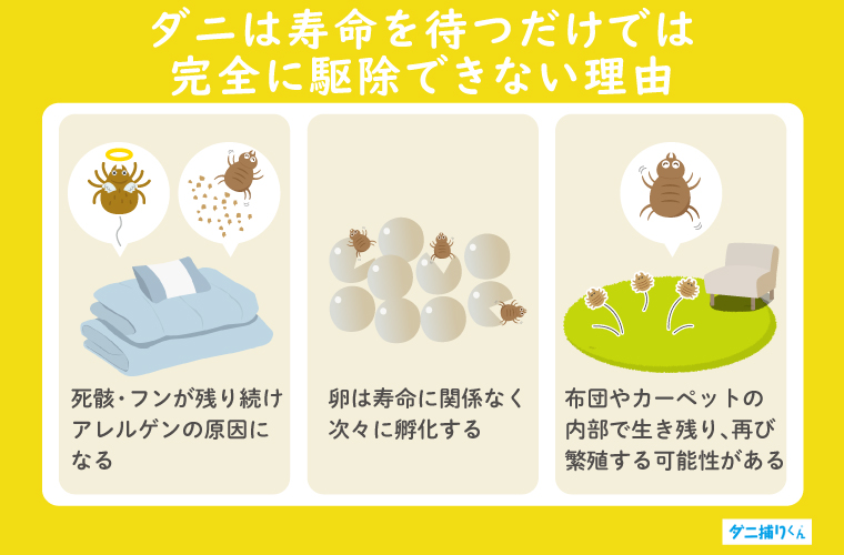 ダニは寿命だけでは駆除できない【放置するリスクを紹介】