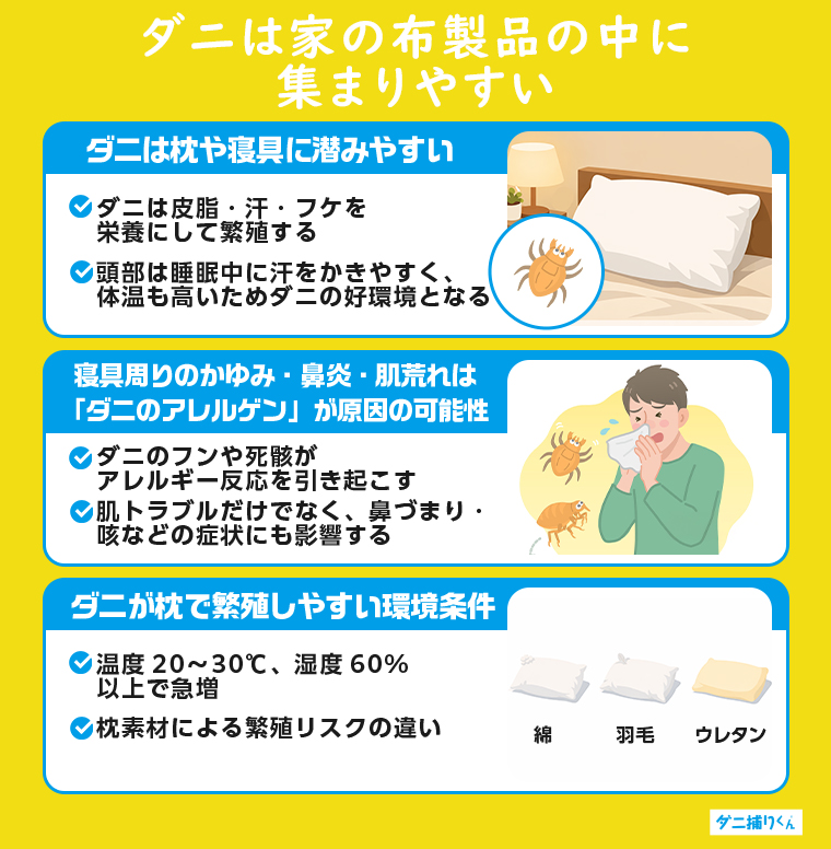 ダニは家の布製品の中に集まりやすい
