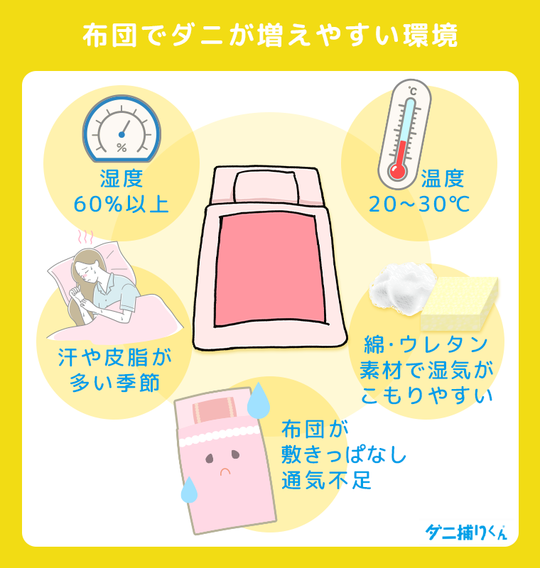 布団でダニが増えやすい環境