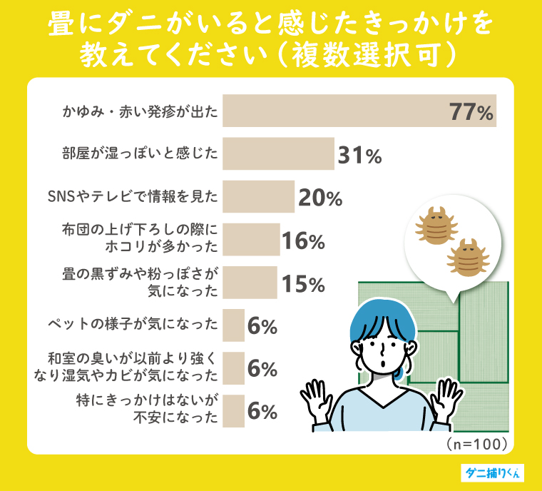 実際に行った独自アンケート調査