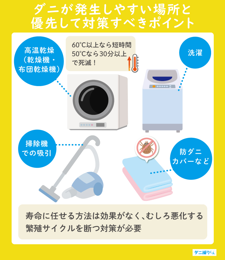 ダニの繁殖サイクルを断つ！今すぐできる効果的な駆除・予防法を紹介