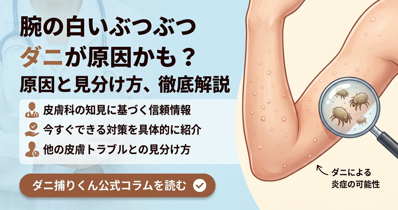 腕の白いぶつぶつの原因と見分け方を示すアイキャッチ画像。腕にできた白い発疹のイラストとともに、ダニが原因かもしれないことを示している