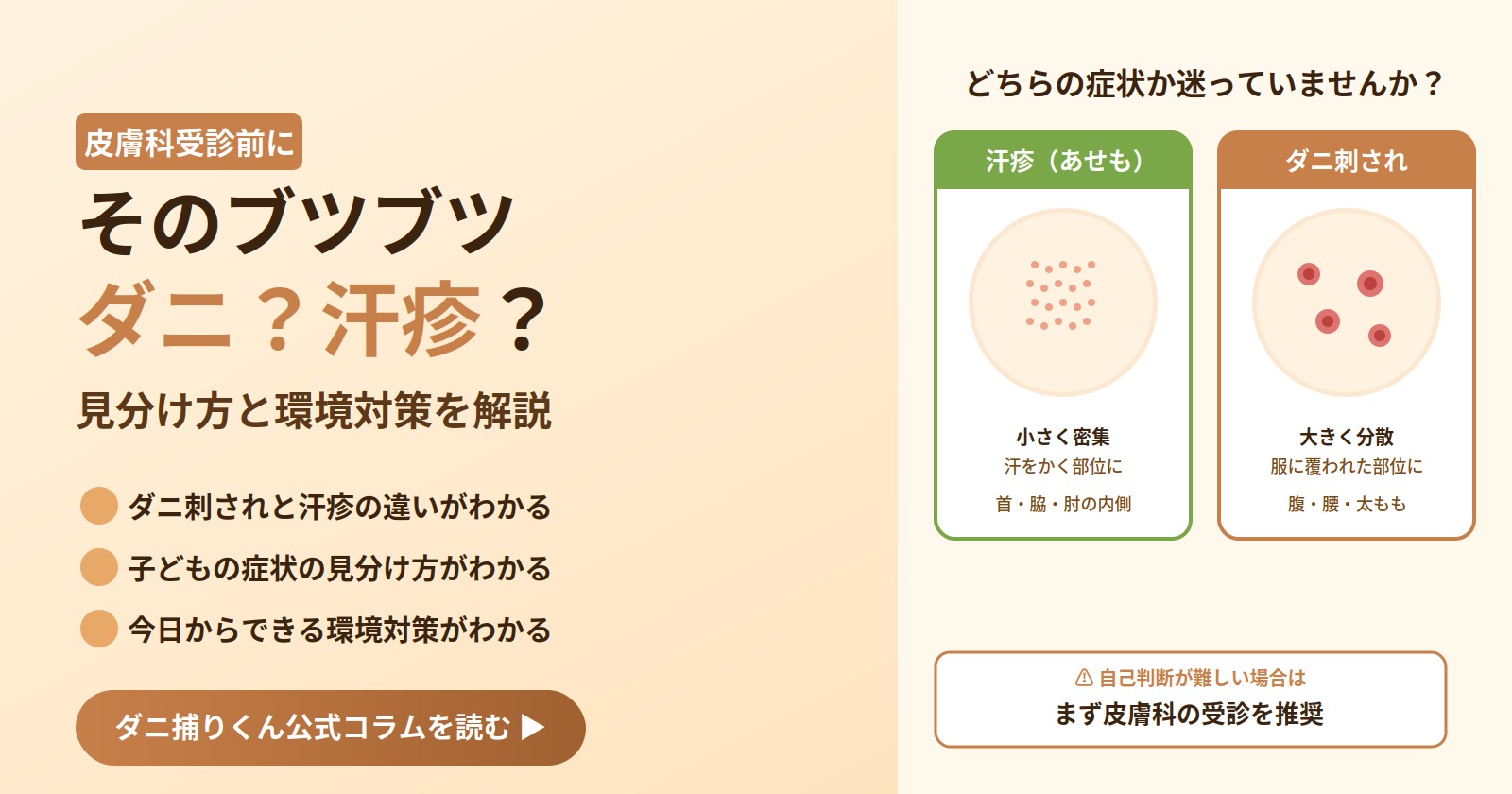 そのブツブツ、ダニ刺され？汗疹？皮膚科受診前に知っておきたい見分け方と環境対策を解説するアイキャッチ画像