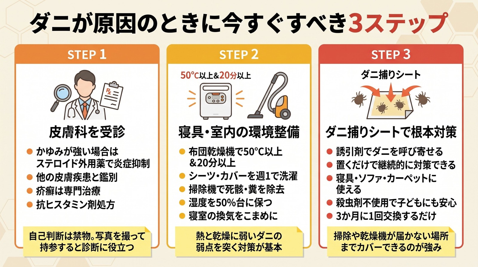 ダニが原因のぶつぶつへの対策3ステップ（皮膚科を受診・寝具と室内の環境整備・ダニ捕りシートで根本対策）を示した図解
