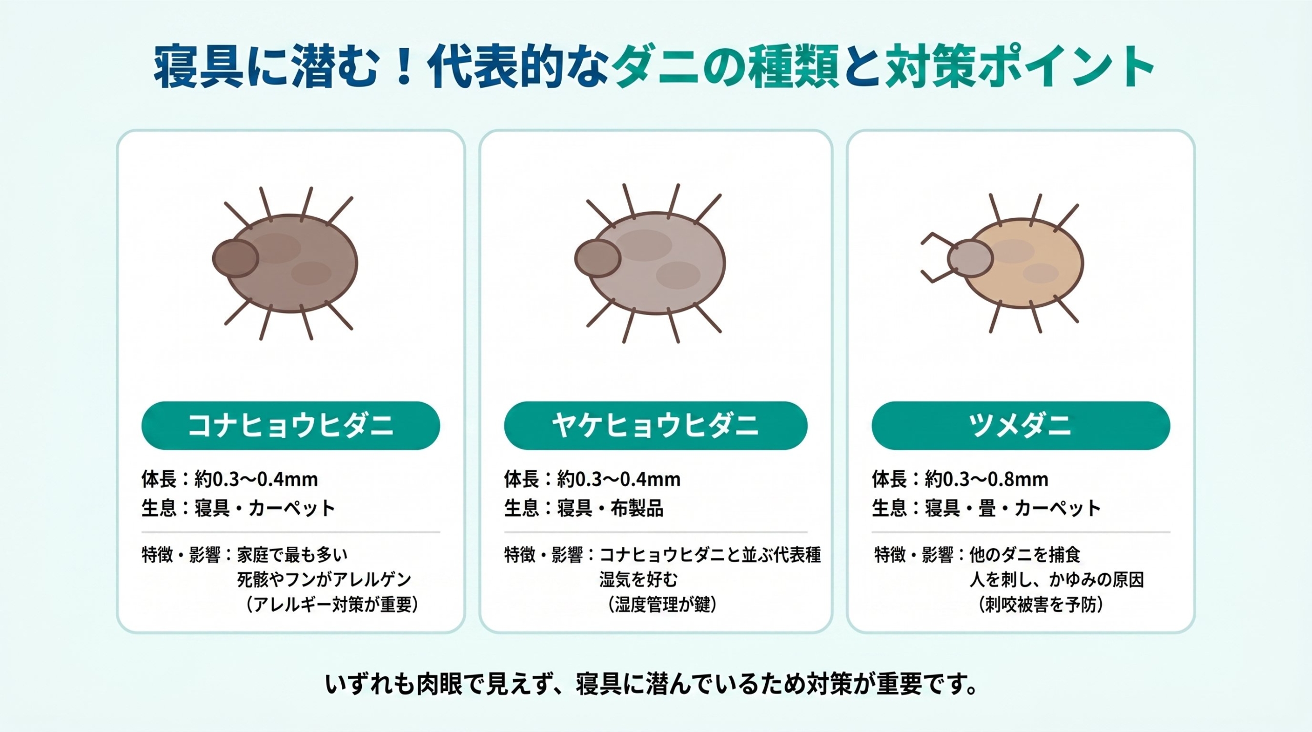 頭皮のかゆみを引き起こす主な5つの原因（乾燥・皮脂・シャンプー残り・アレルギー・ダニ）