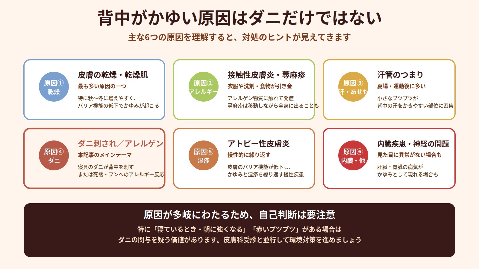 背中がかゆい原因はダニだけではないことを示す図解。乾燥・アレルギー・汗(あせも)・ダニ・アトピー性皮膚炎・内臓疾患の6つの主な原因を整理