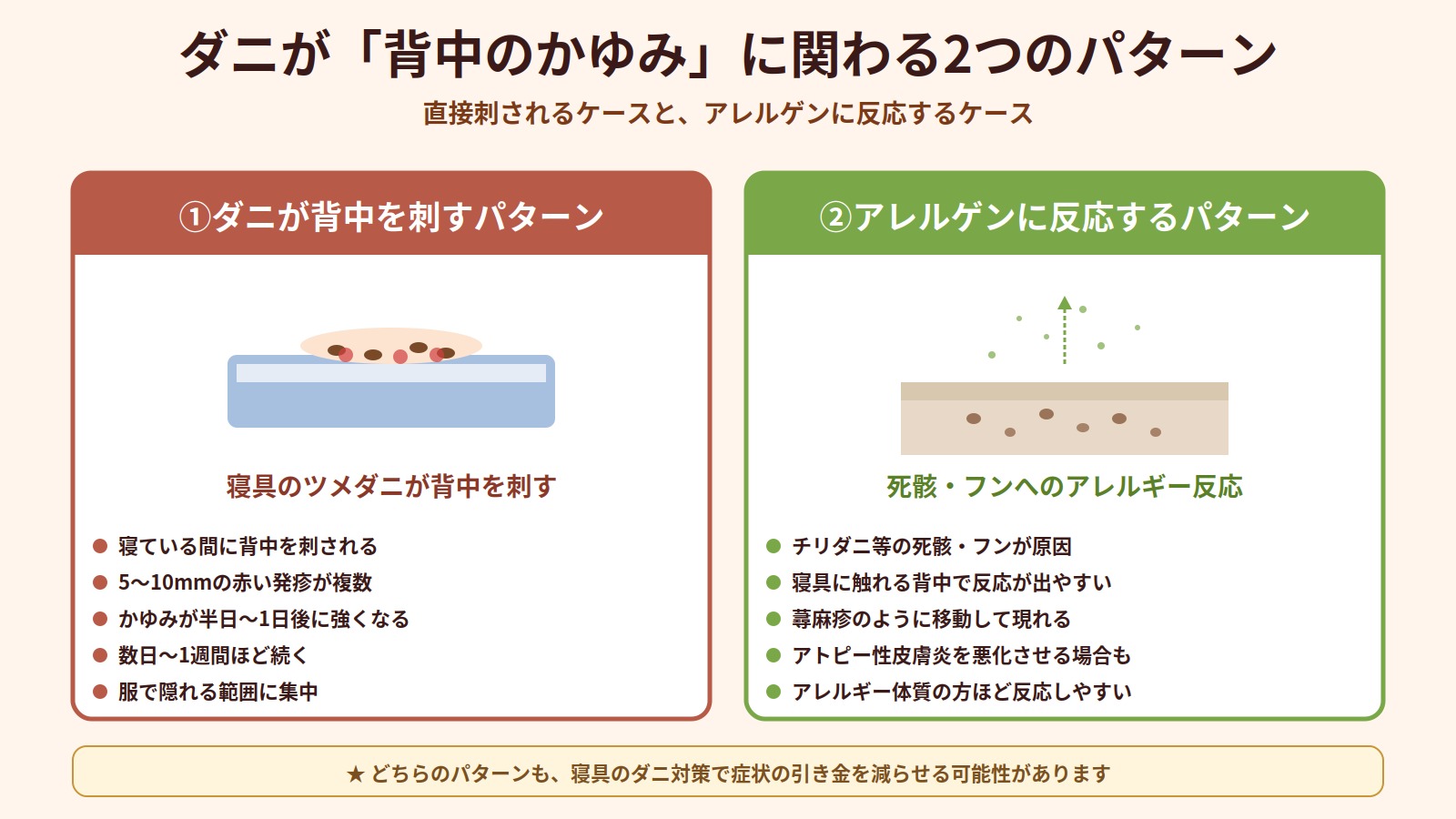 ダニが背中のかゆみに関わる2つのパターン（直接刺されるケースとアレルゲンに反応するケース）の違いを比較した図解