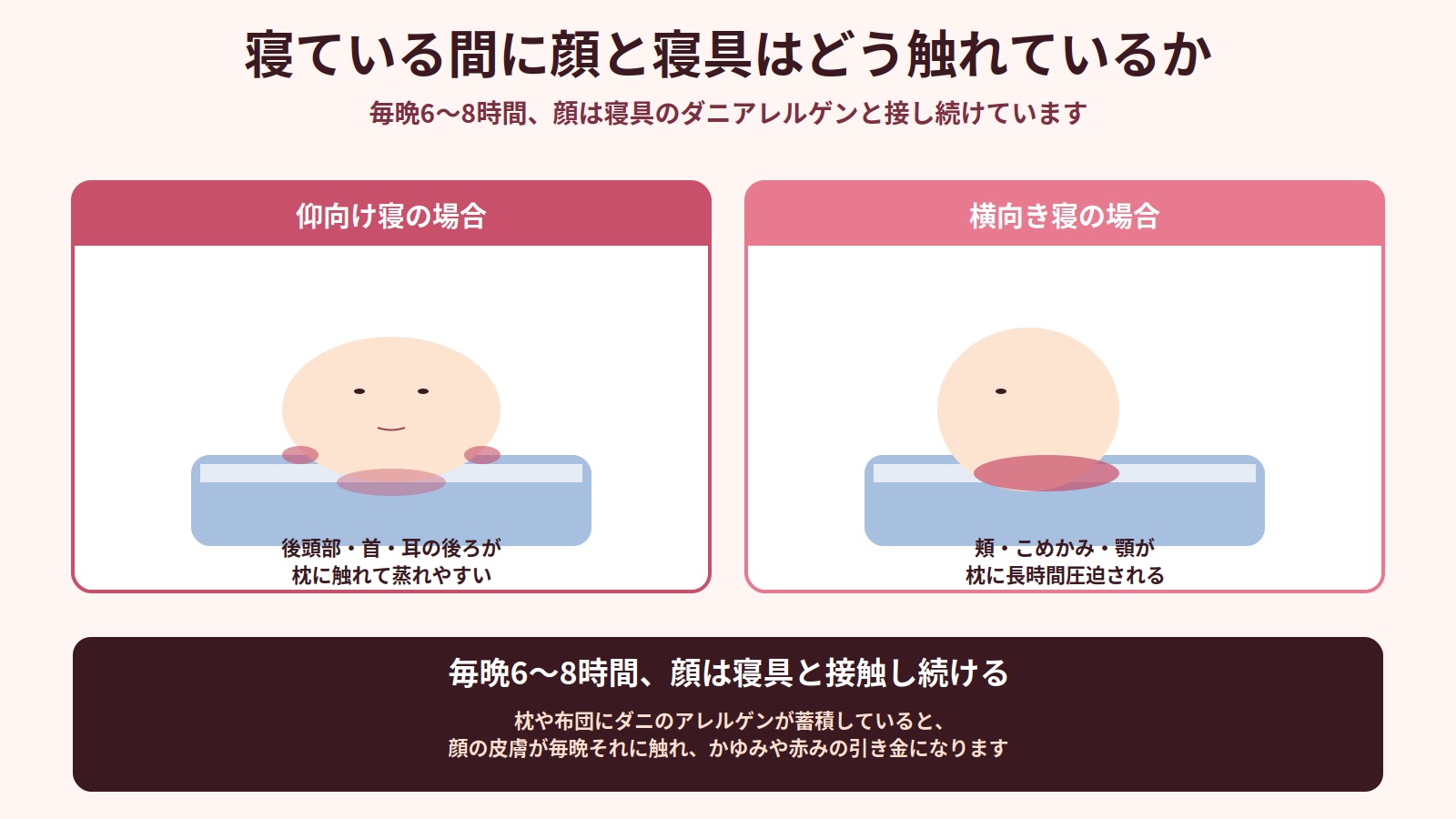 仰向け寝と横向き寝で顔と寝具が接触する範囲を比較したイラスト。毎晩6〜8時間も顔が寝具のダニアレルゲンと接触する仕組みを解説