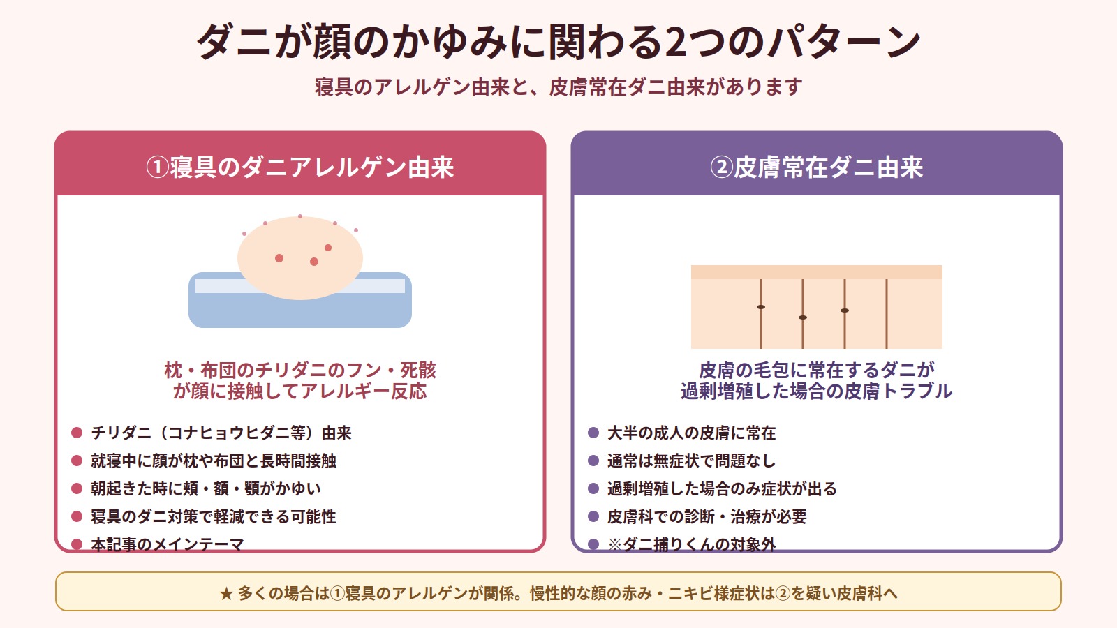 ダニが顔のかゆみに関わる2つのパターン（寝具のアレルゲン由来と皮膚常在ダニ由来）を比較した図解