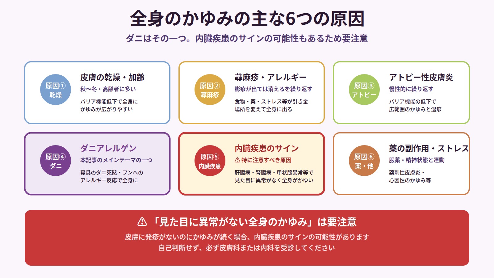 全身のかゆみの主な6つの原因(乾燥・蕁麻疹・アトピー・ダニ・内臓疾患・薬副作用)を整理した図解。内臓疾患のサインの可能性を強調