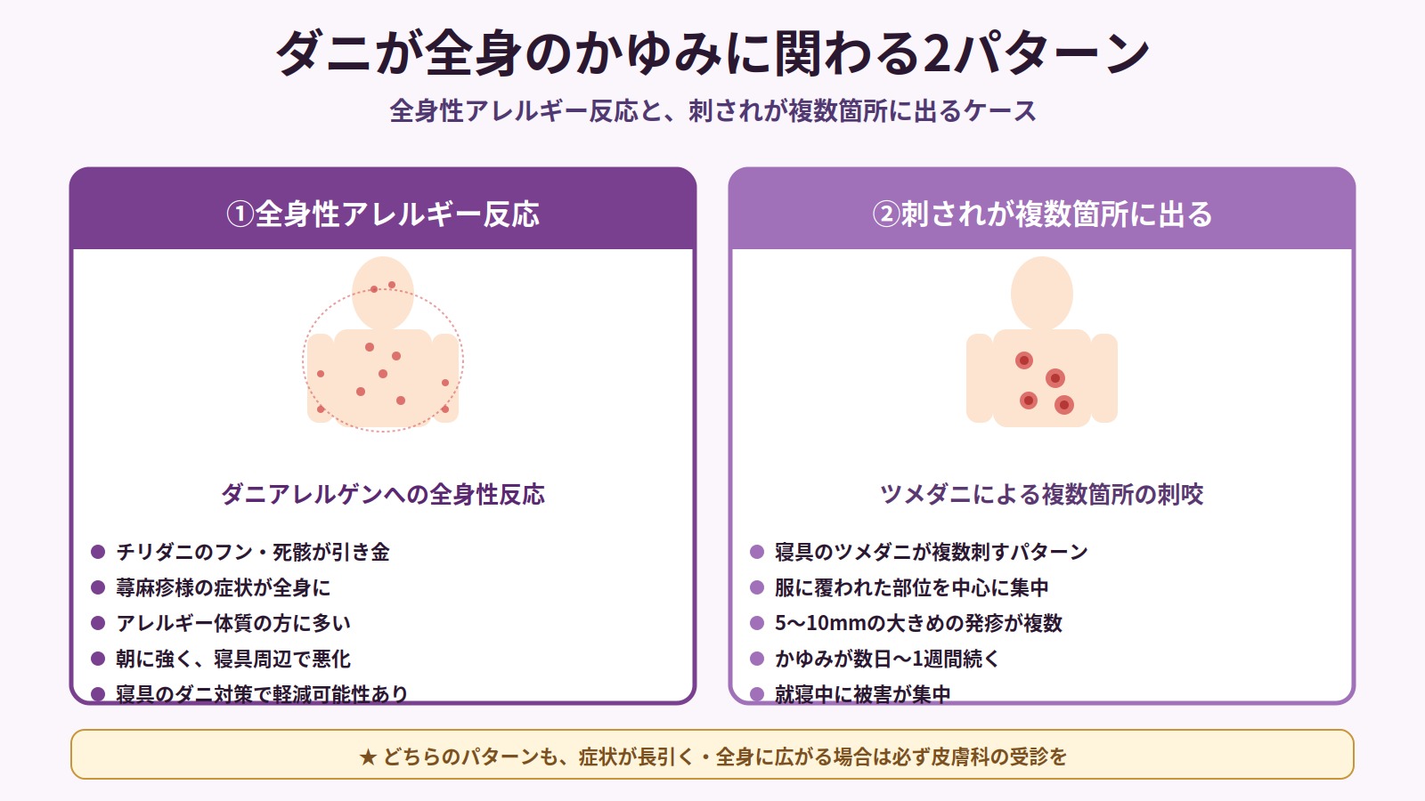ダニが全身のかゆみに関わる2つのパターン(全身性アレルギー反応とツメダニによる複数箇所の刺咬)を比較した図解