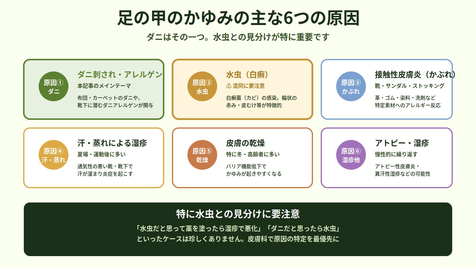 足の甲のかゆみの主な6つの原因（ダニ・水虫・接触性皮膚炎・汗蒸れ・乾燥・アトピー）を整理した図解。水虫との混同に要注意