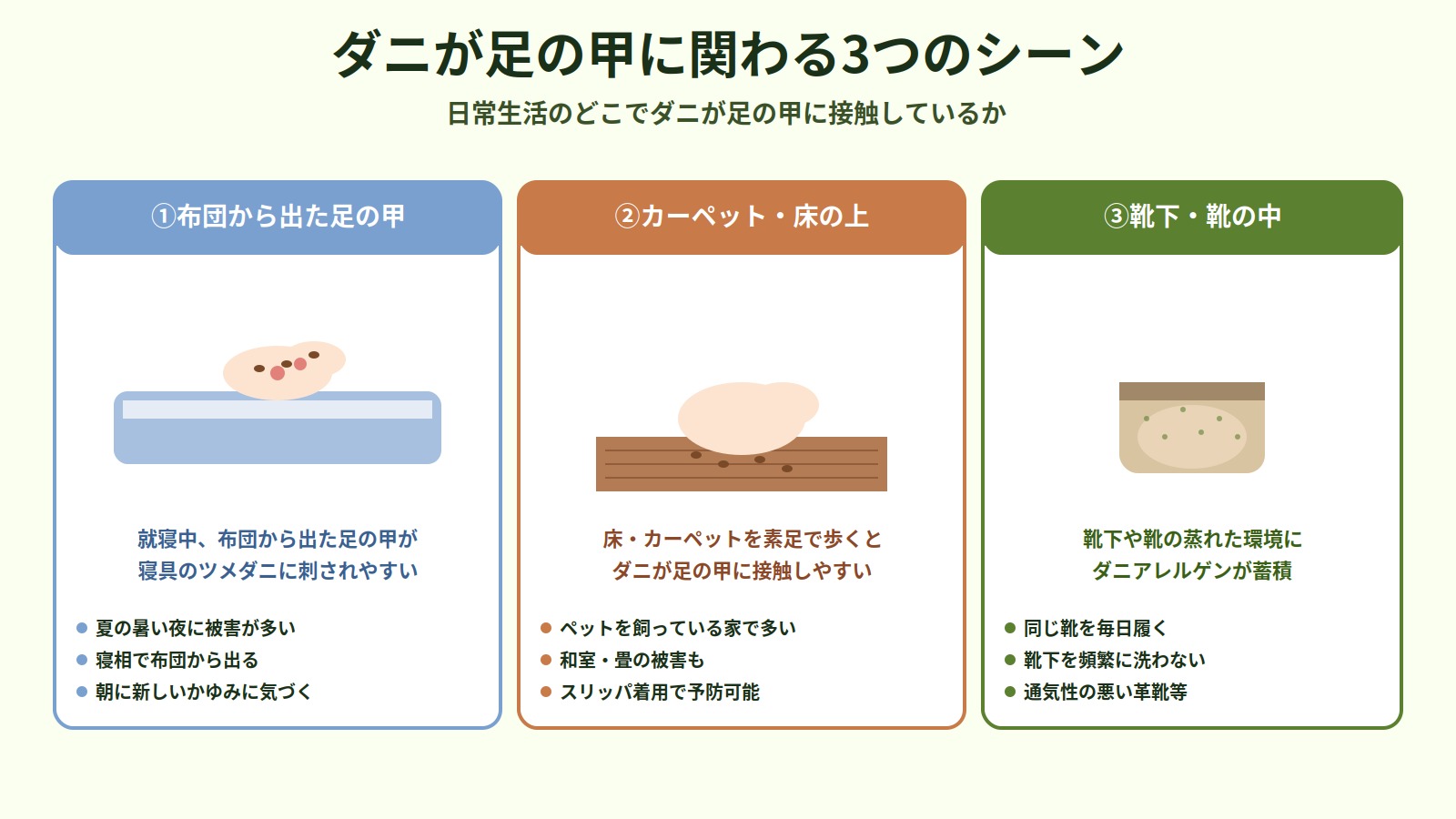 ダニが足の甲に関わる3つのシーン（布団から出た足・カーペットの上を歩く・靴下や靴の中）を解説したイラスト